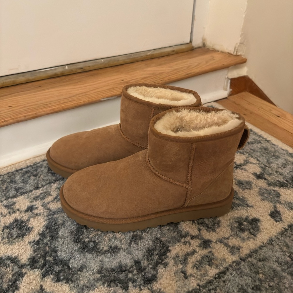UGG Australia Classic Mini Boot in Chesnut